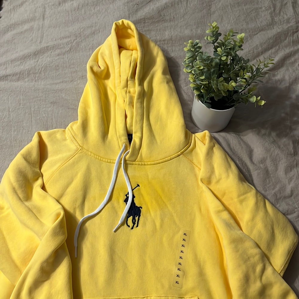 Brand new Polo Ralph Lauren hoodie